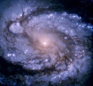 The spiral galaxy M100 Credit:NASA