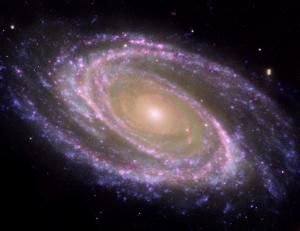 The barred spiral galaxy M81